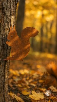 Eekhoorn op nagel H20cm